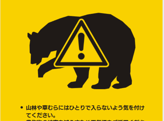 熊注意